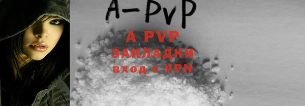 молекула духа Новодвинск