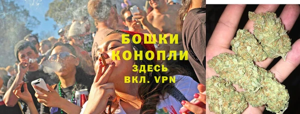 молекула духа Новодвинск
